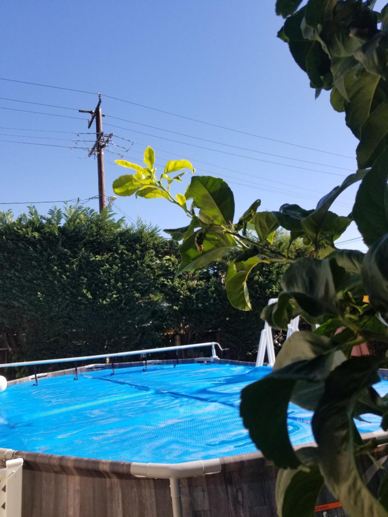 Studio In Southbay Close To The Beach Sofi Stadium Lax Lawndale Extérieur photo